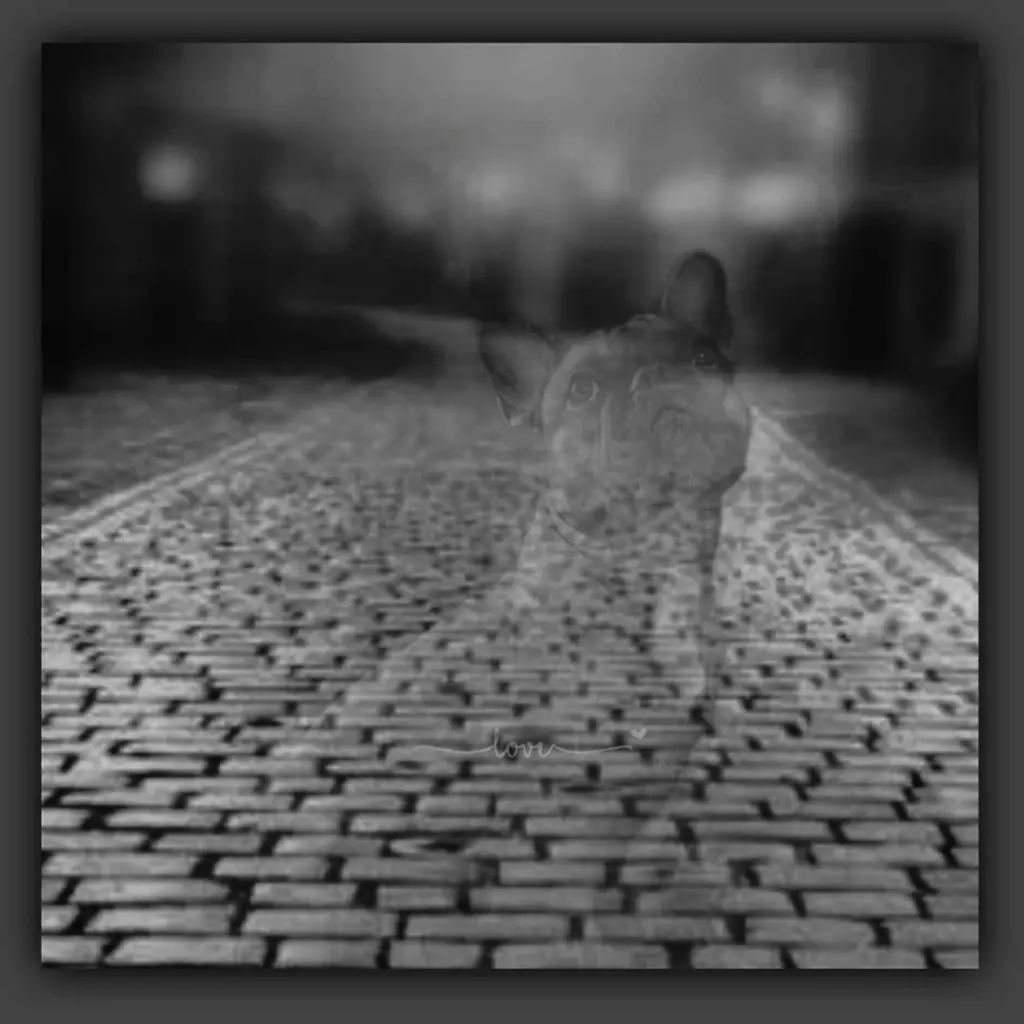 Image from Leonardo