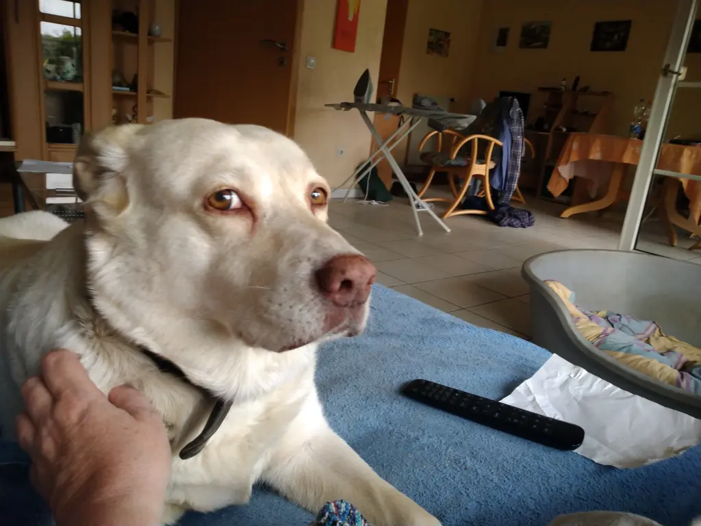 Image from Abby