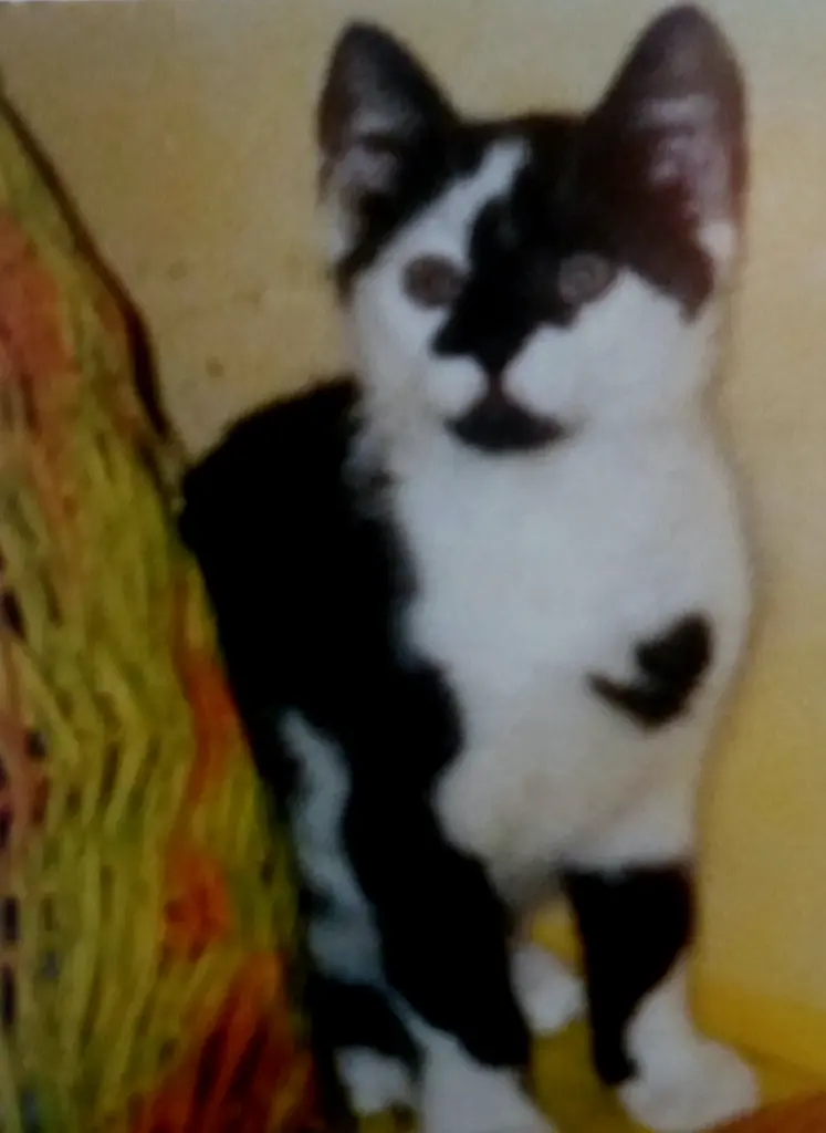 Andachtsbild von Annemarie und Elke mit Snoopy im Herzen gest.04.01.2022