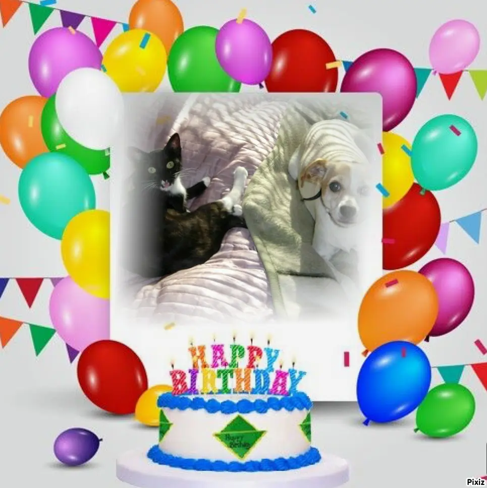 Condolence image of Tanja mit Timmy im Herzen