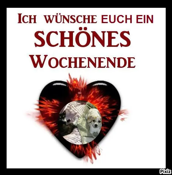 Condolence image of Tanja mit Timmy im Herzen 