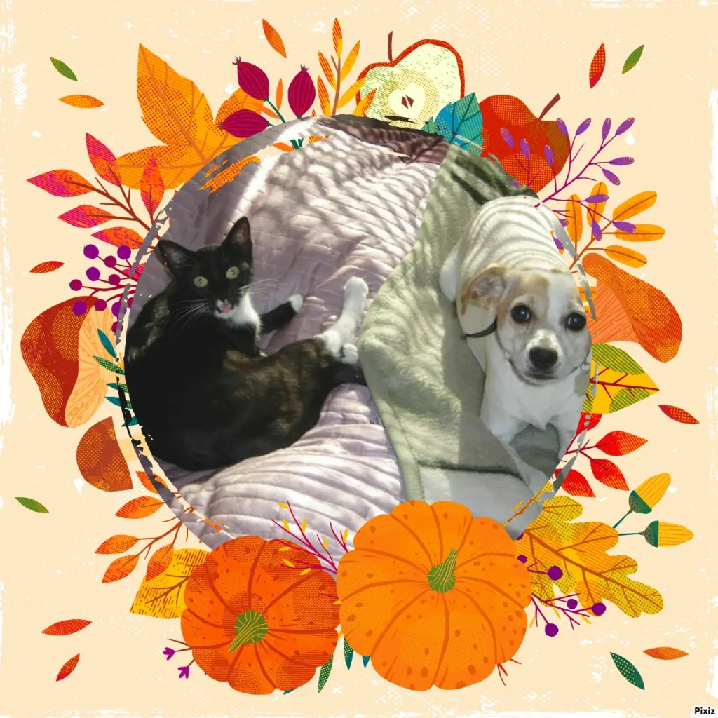 Condolence image of Tanja mit Timmy im Herzen 