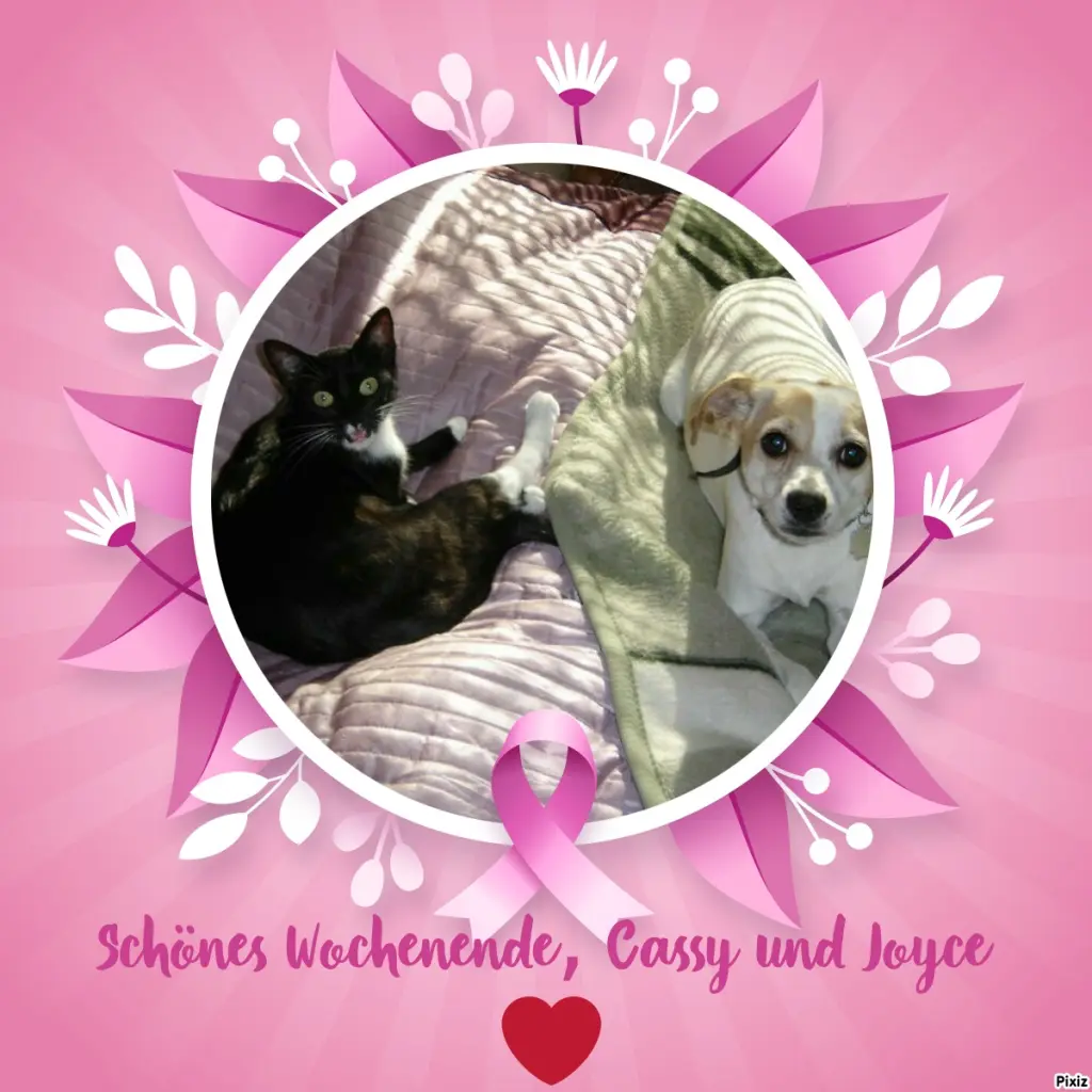 Condolence image of Tanja mit Timmy im Herzen 