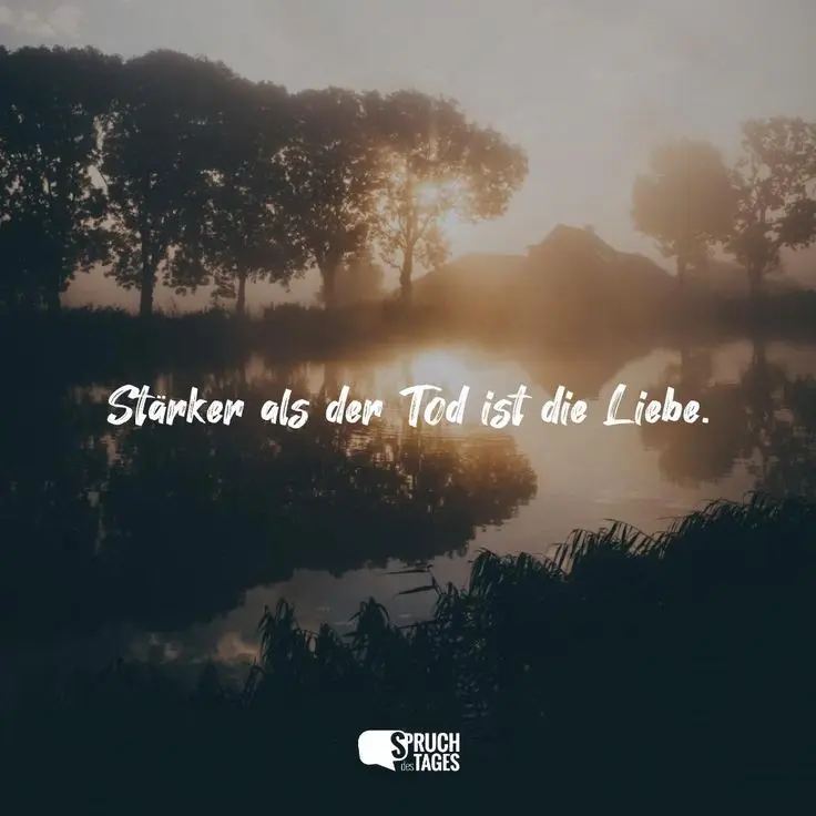 Condolence image of In ewiger Liebe ♥️