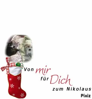 Condolence image of Tanja mit Timmy im Herzen 