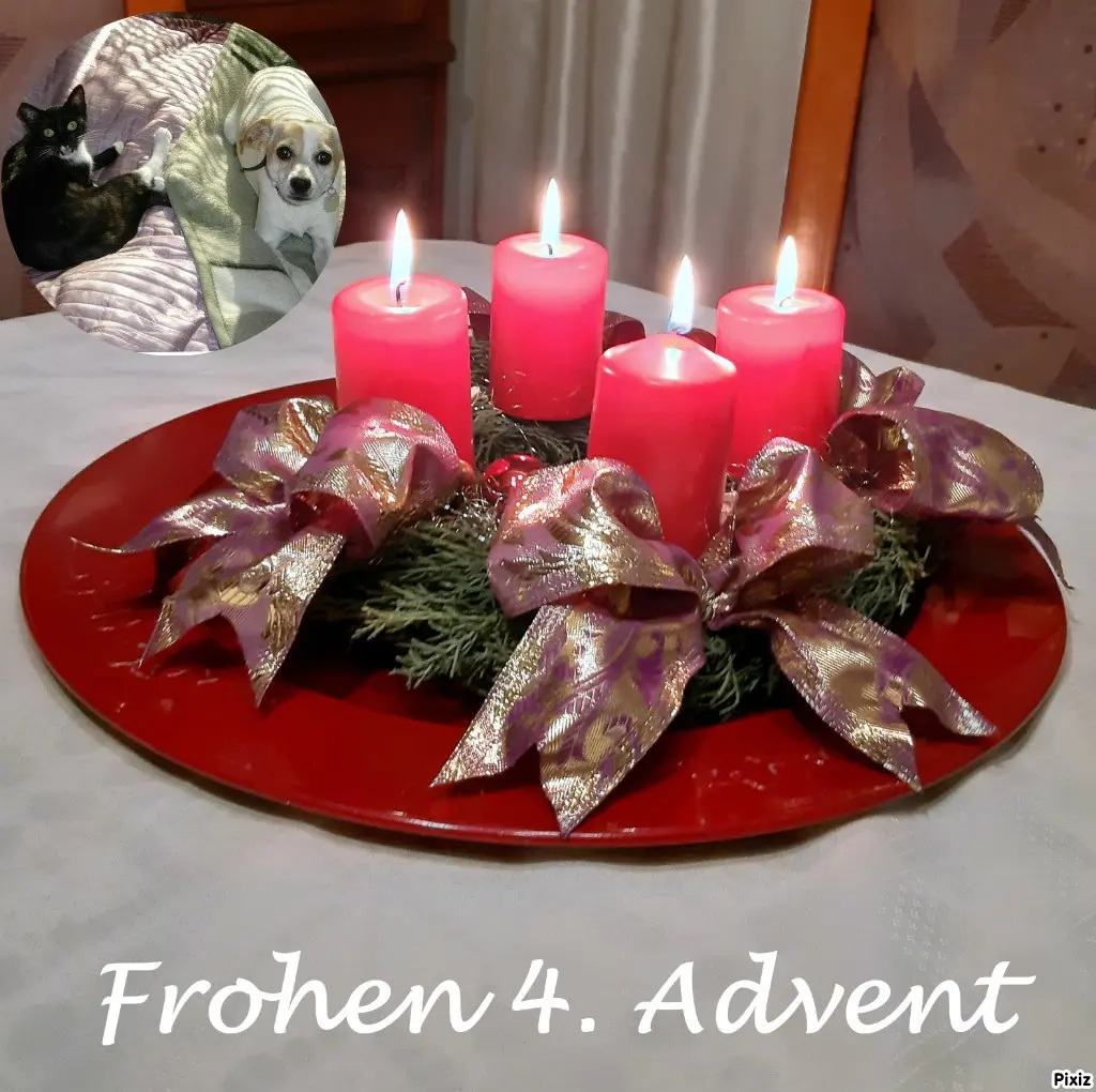 Condolence image of Tanja mit Timmy im Herzen 