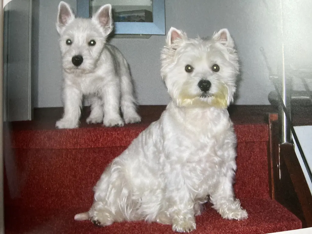 Condolence image of Sigrid 