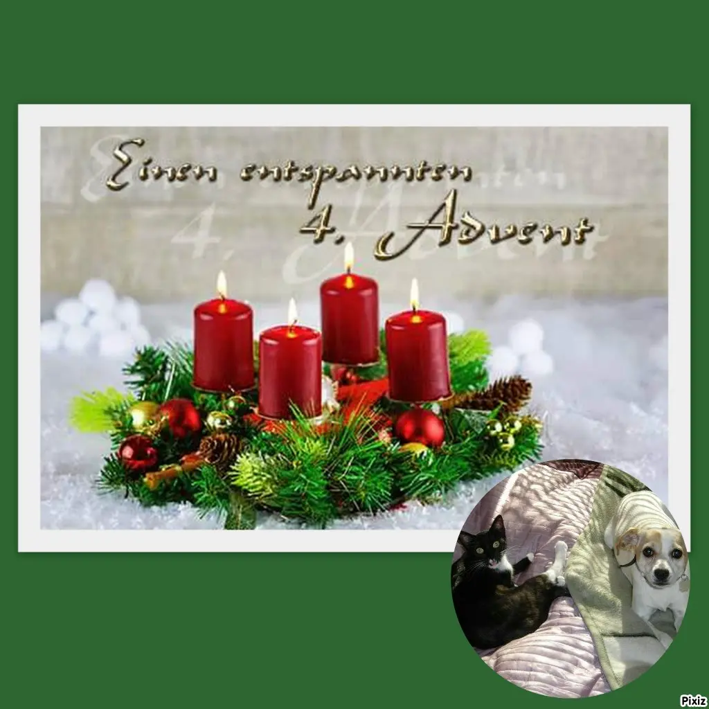 Condolence image of Tanja mit Timmy im Herzen