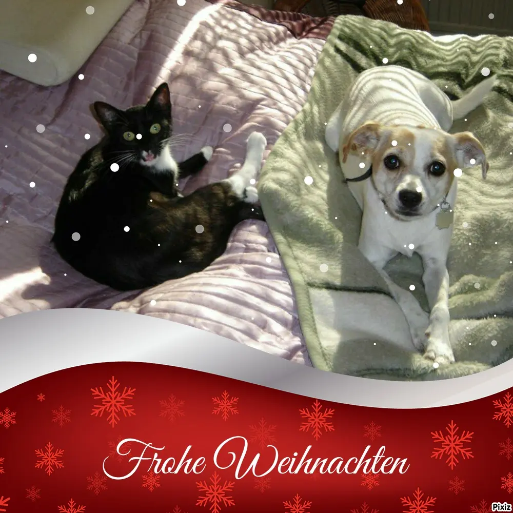 Condolence image of Tanja mit Timmy im Herzen
