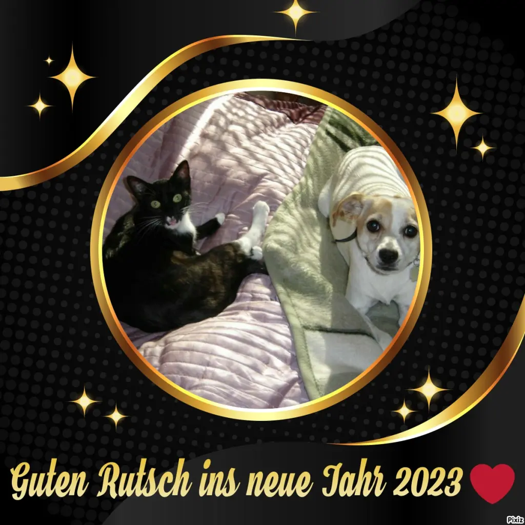 Condolence image of Tanja mit Timmy im Herzen 