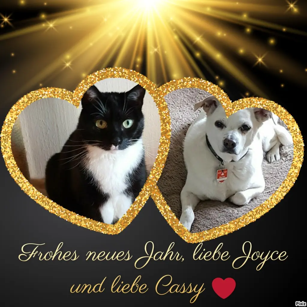 Condolence image of Neujahrsgrüße von Timmys Mutti Tanja an Sternenprinzessin Cassy und Joyce ❤ und Mami Silke ❤