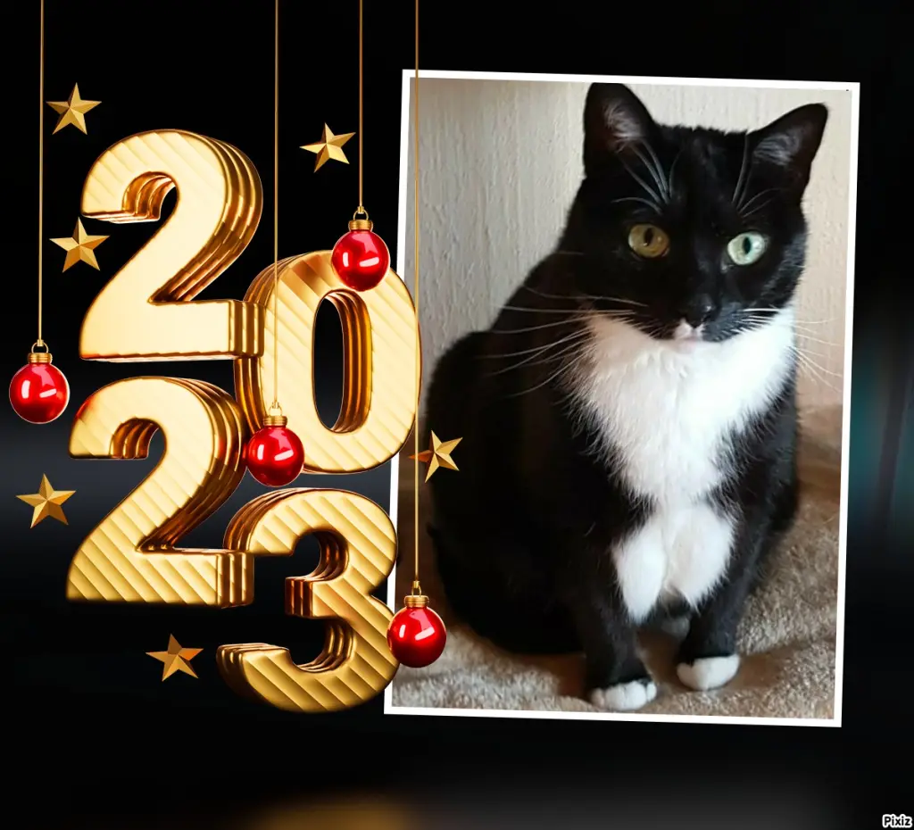 Condolence image of Tanja mit Timmy im Herzen 