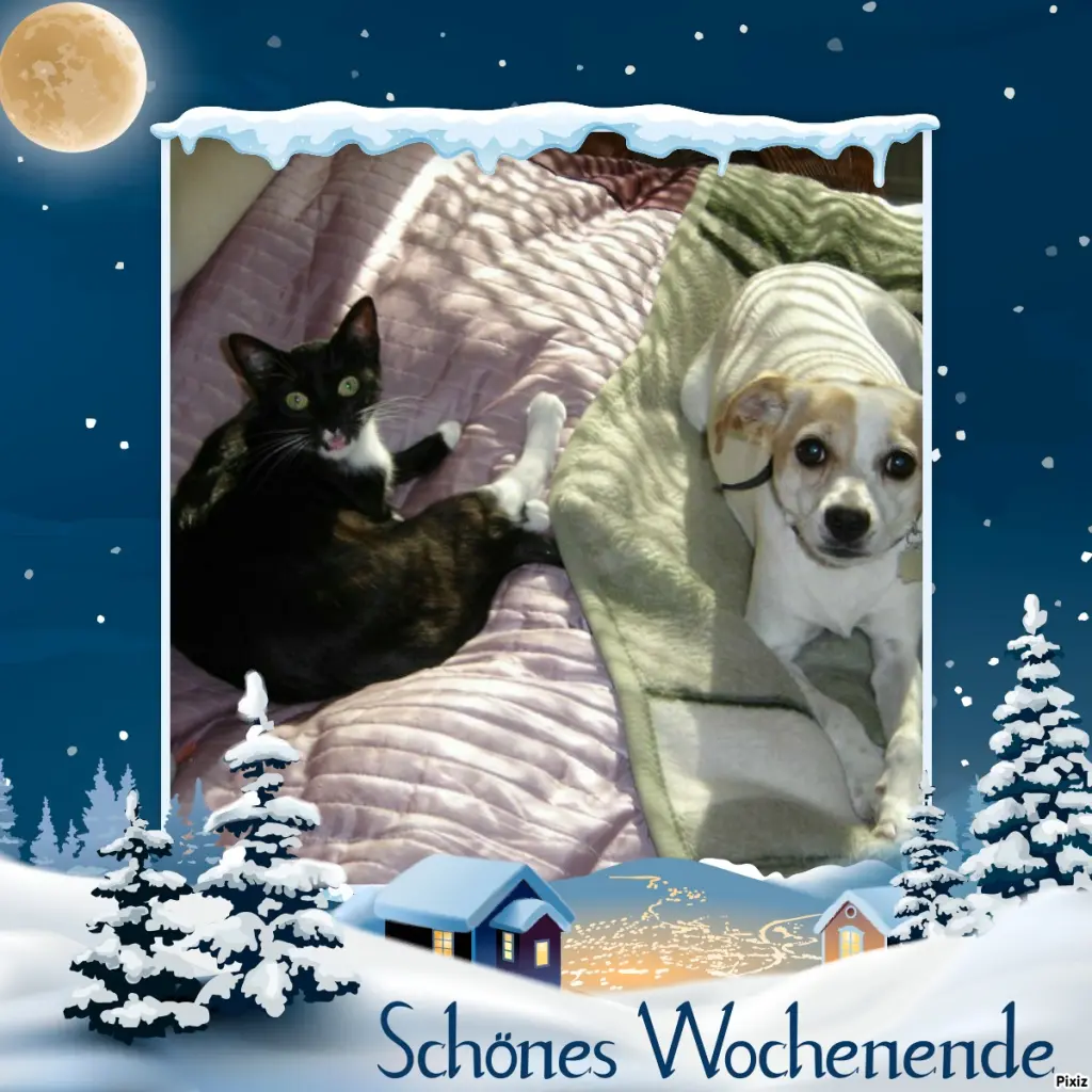 Condolence image of Tanja mit Timmy im Herzen