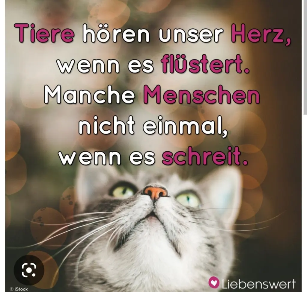 Condolence image of Heike mit Biene im ❤