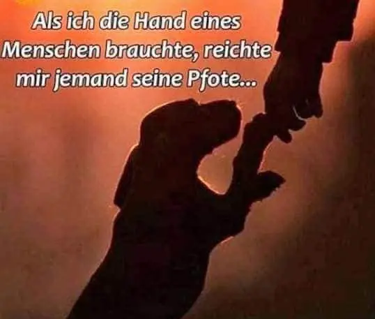 Condolence image of Silke mit Gila im ❤