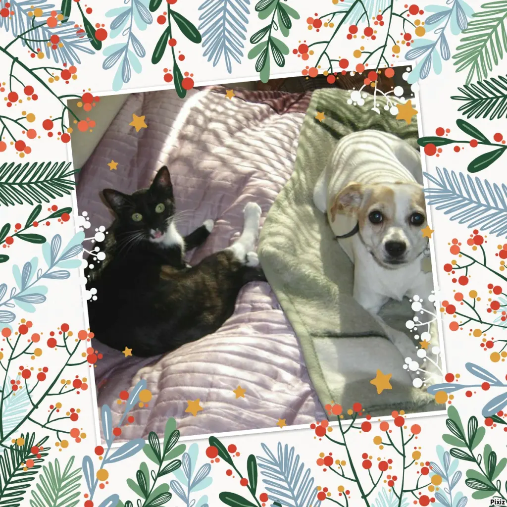 Condolence image of Tanja mit Timmy im Herzen 