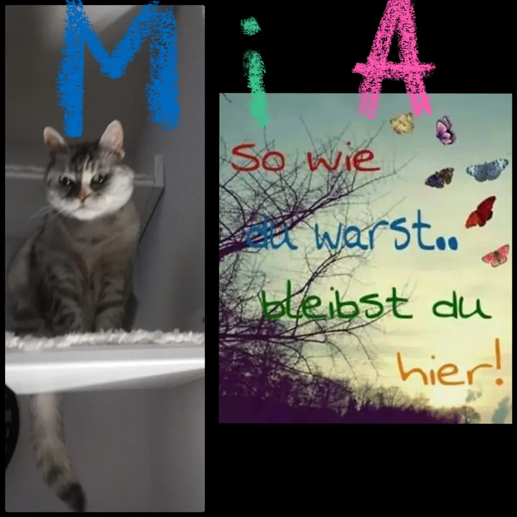 Condolence image of Wir grüßen zurück 