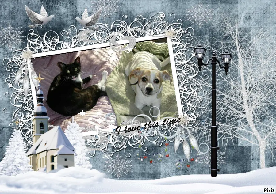 Condolence image of Tanja mit Timmy im Herzen