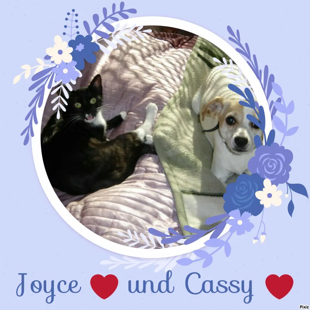 Condolence image of Tanja mit Timmy im Herzen