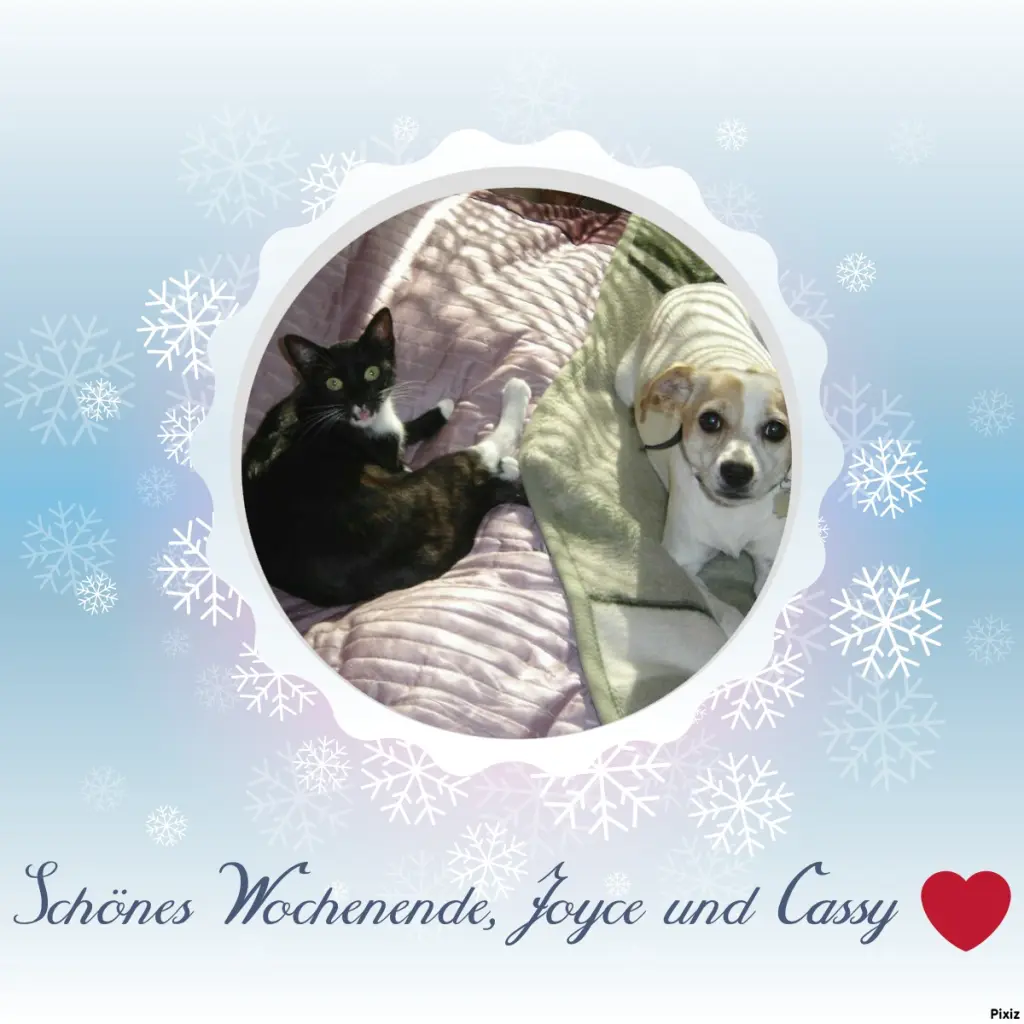 Condolence image of Tanja mit Timmy im Herzen