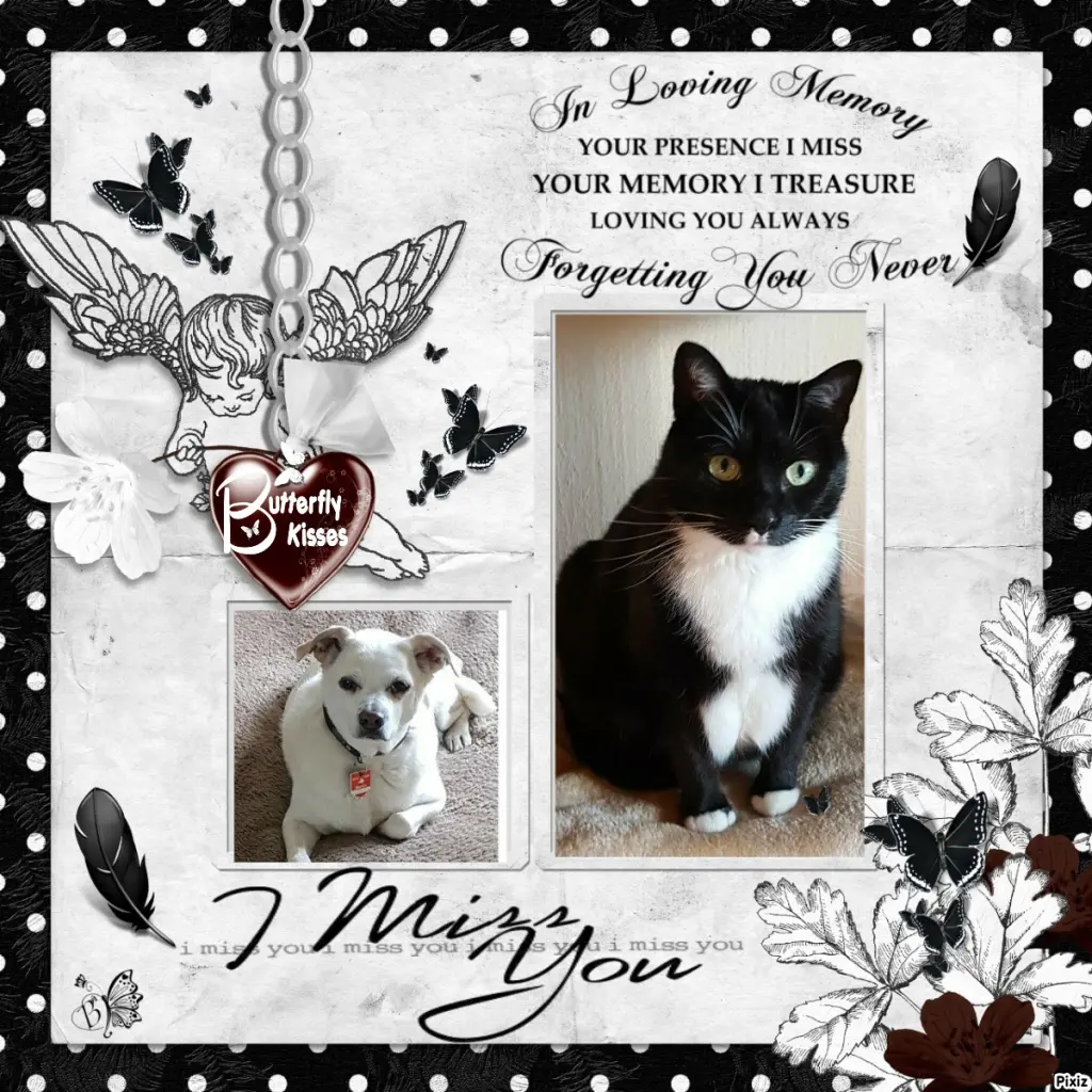 Condolence image of Tanja mit Timmy im Herzen