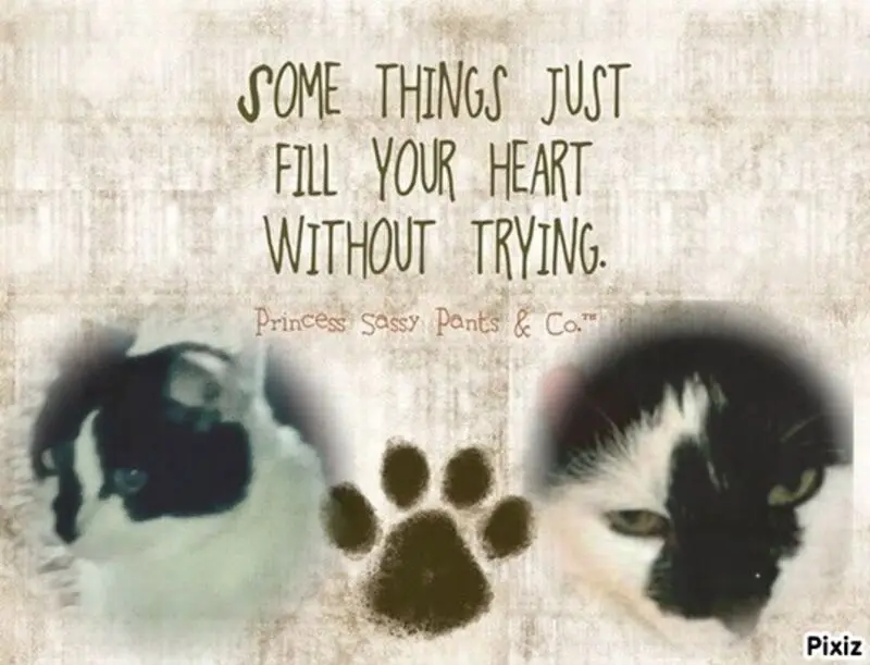 Condolence image of Snoopy ❤Pünktchen 