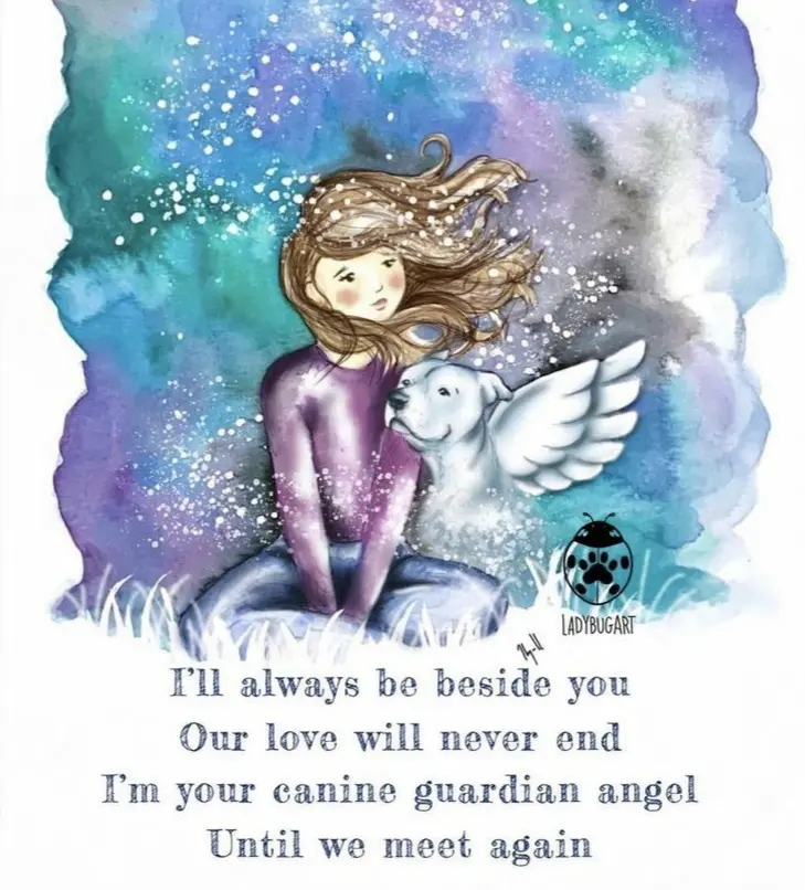 Condolence image of Martina mit Seelenhund Samy ♥️⭐♥️ für immer im Herzen