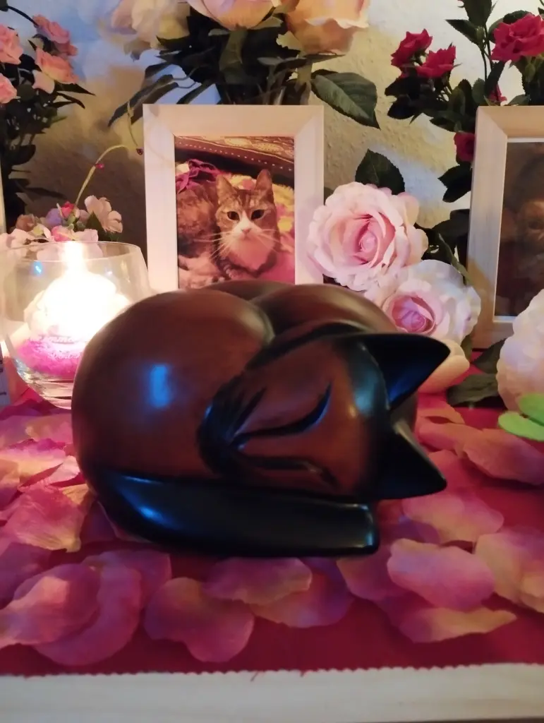 Condolence image of Waldemar mit Mausi im ♥️