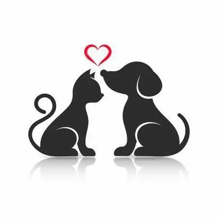 Condolence image of Martina mit Seelenhund Samy ♥️⭐♥️ für immer im Herzen 