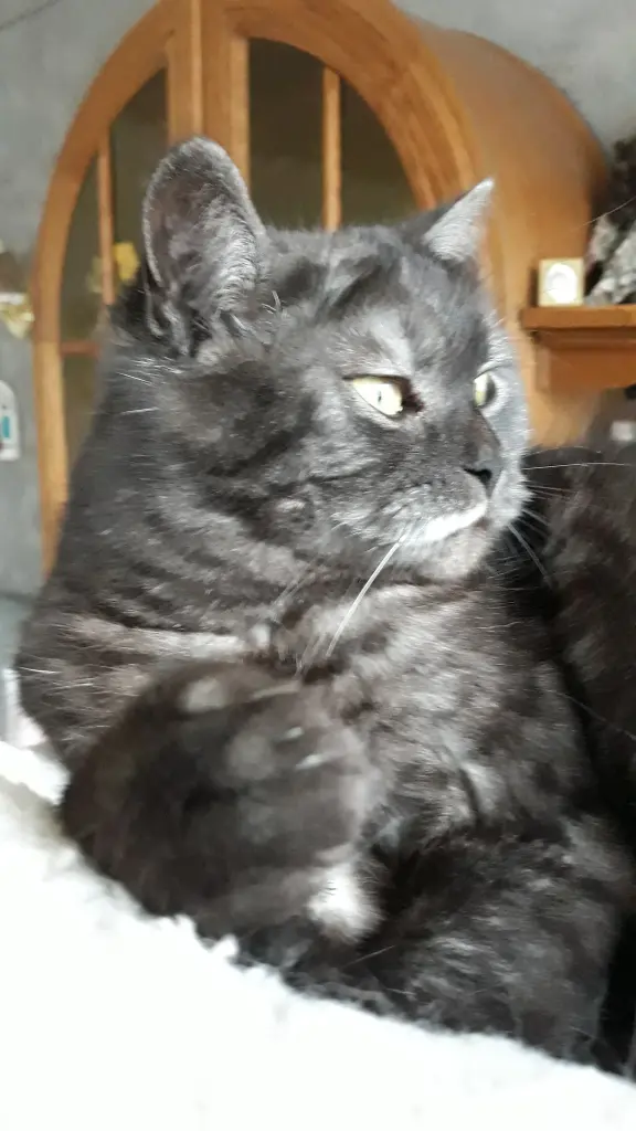 Condolence image of Von Tyson ♥️