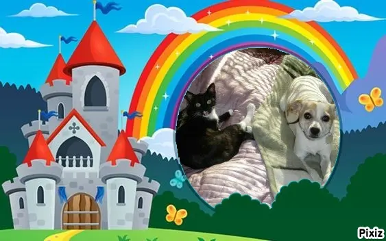 Condolence image of Tanja mit Timmy im Herzen 