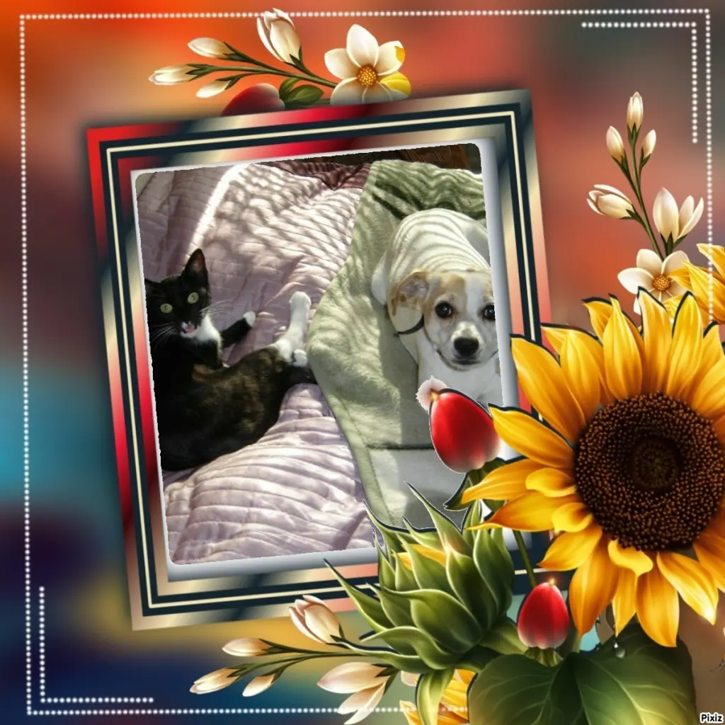 Condolence image of Tanja mit Timmy im Herzen 