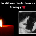 Condolence image of Annemarie und Elke mit Snoopy (+04.01.2022)und Pünktchen (verm.2021)