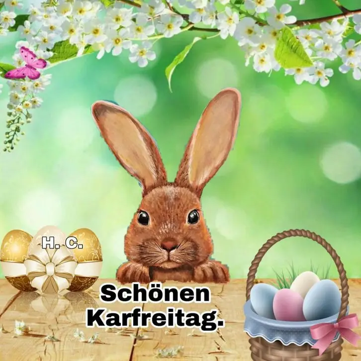 Condolence image of Martina mit Seelenhund Samy ♥️⭐♥️ für immer im Herzen