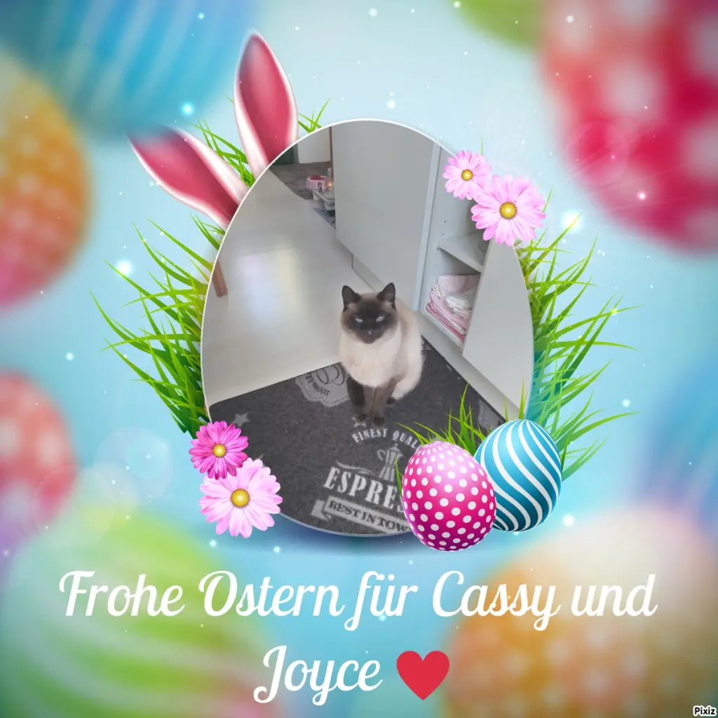 Condolence image of Für die beiden Engelchen Cassy und Joyce und Mama Silke ❤️