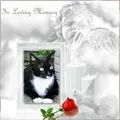 Condolence image of Mama und Papa in Liebe