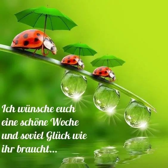 Condolence image of Für Joyce ❤️