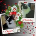 Condolence image of Annemarie und Elke mit Snoopy im Herzen gest.04.01.2022 und Pünktchen vermisst April 2021