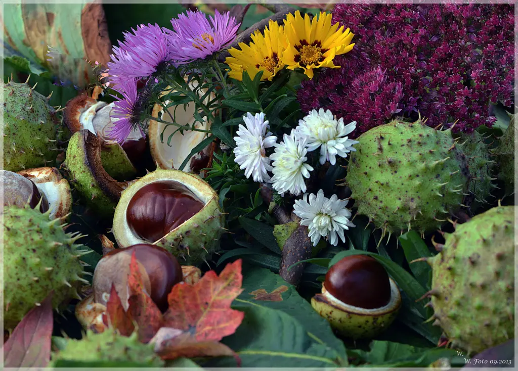 Condolence image of Für Cassy ❤️