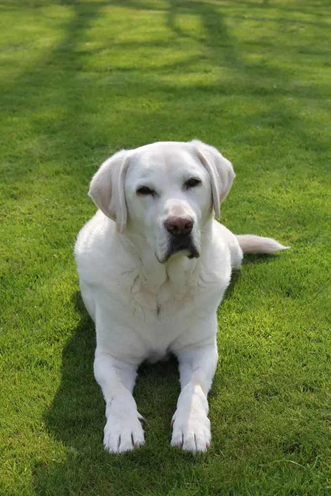 Condolence image of Hannes