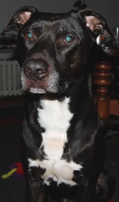 Image from Ferró