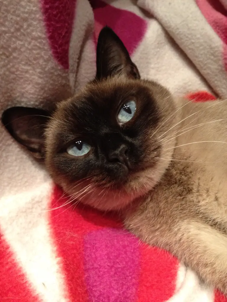 Image from Blue