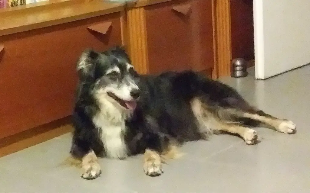 Condolence image of Matthias 