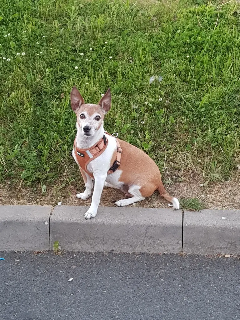 Condolence image of Heidi