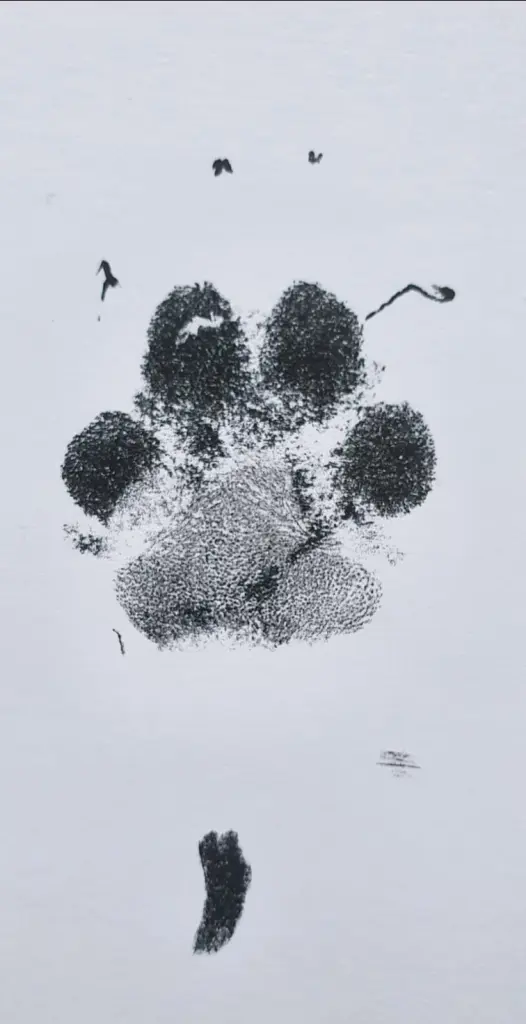 Condolence image of Sybill