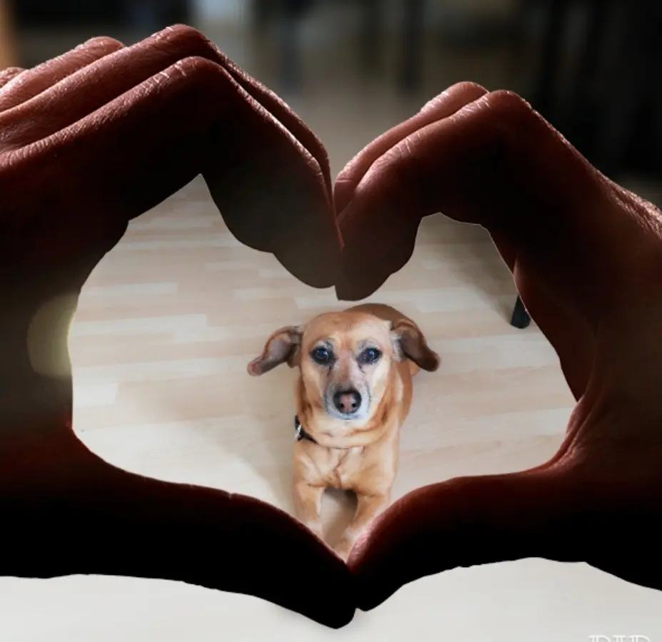 Condolence image of Sybill Frauchen