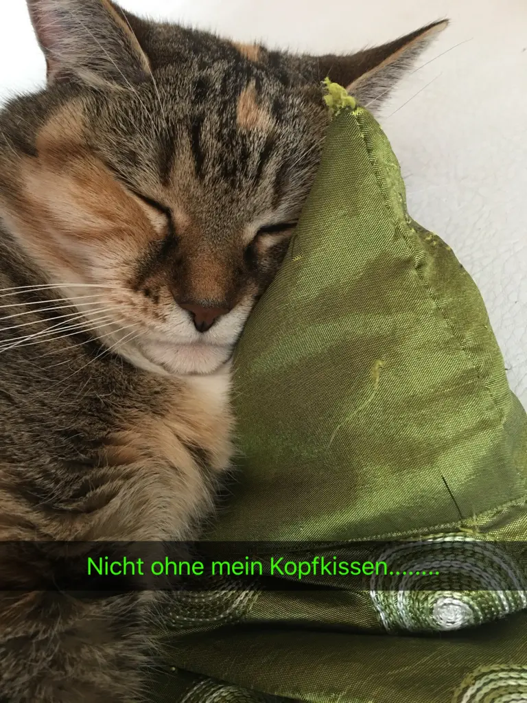 Condolence image of Iris