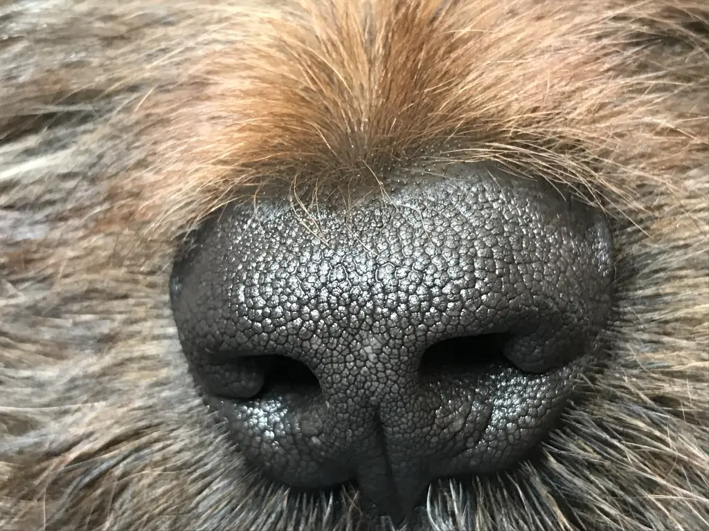 Image from Sky