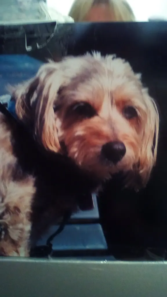 Condolence image of Ulrike