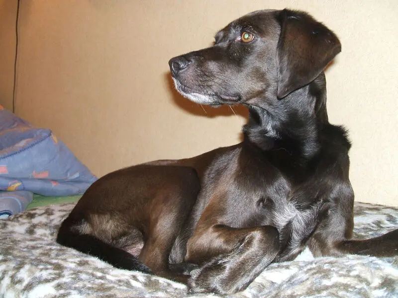 Condolence image of Erika